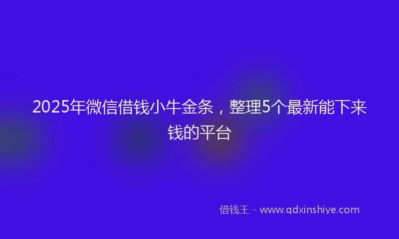 2025年微信借钱小牛金条，整理5个最新能下来钱的平台