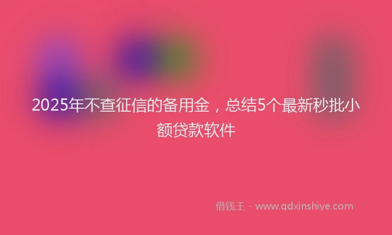 2025年不查征信的备用金，总结5个最新秒批小额贷款软件