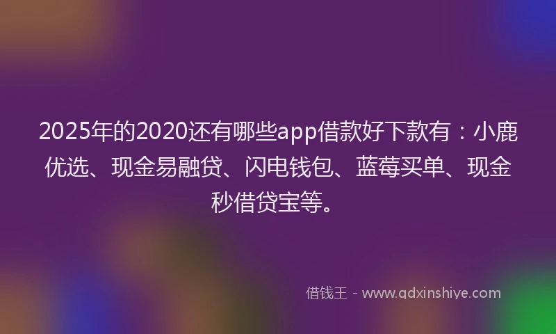2025年的2020还有哪些app借款好下款有：小鹿优选、现金易融贷、闪电钱包、蓝莓买单、现金秒借贷宝等。