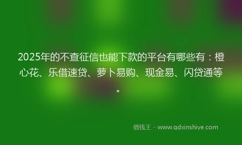 2025年的不查征信也能下款的平台有哪些有：橙心花、乐借速贷、萝卜易购、现金易、闪贷通等。