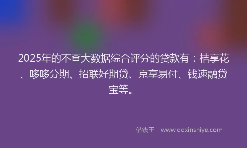 2025年的不查大数据综合评分的贷款有：桔享花、哆哆分期、招联好期贷、京享易付、钱速融贷宝等。