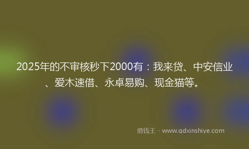2025年的不审核秒下2000有：我来贷、中安信业、爱木速借、永卓易购、现金猫等。