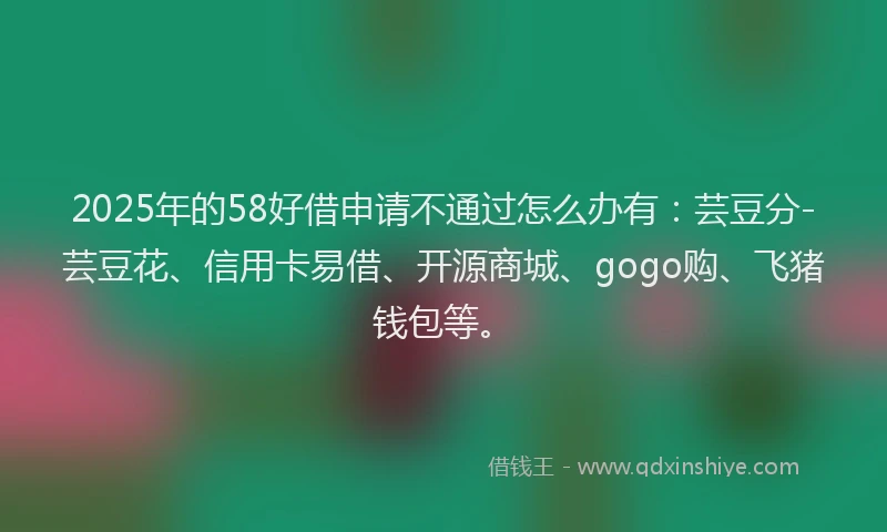 2025年的58好借申请不通过怎么办有：芸豆分-芸豆花、信用卡易借、开源商城、gogo购、飞猪钱包等。
