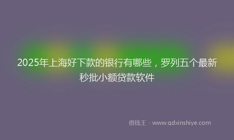 2025年上海好下款的银行有哪些，罗列五个最新秒批小额贷款软件