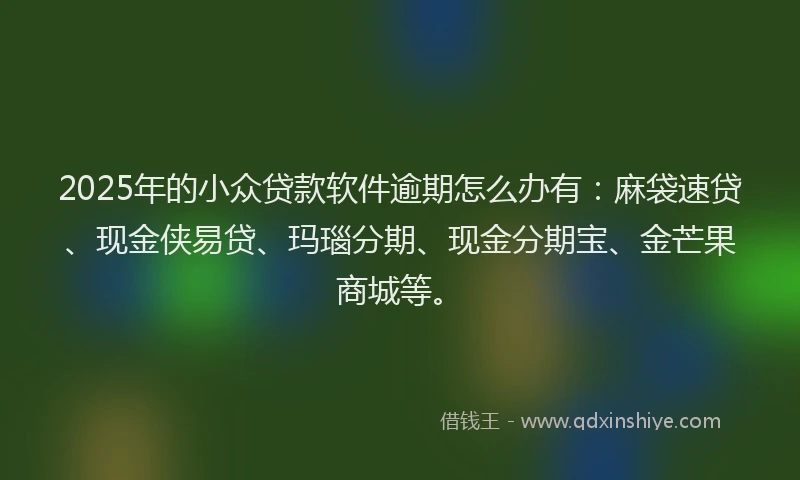 2025年的小众贷款软件逾期怎么办有：麻袋速贷、现金侠易贷、玛瑙分期、现金分期宝、金芒果商城等。