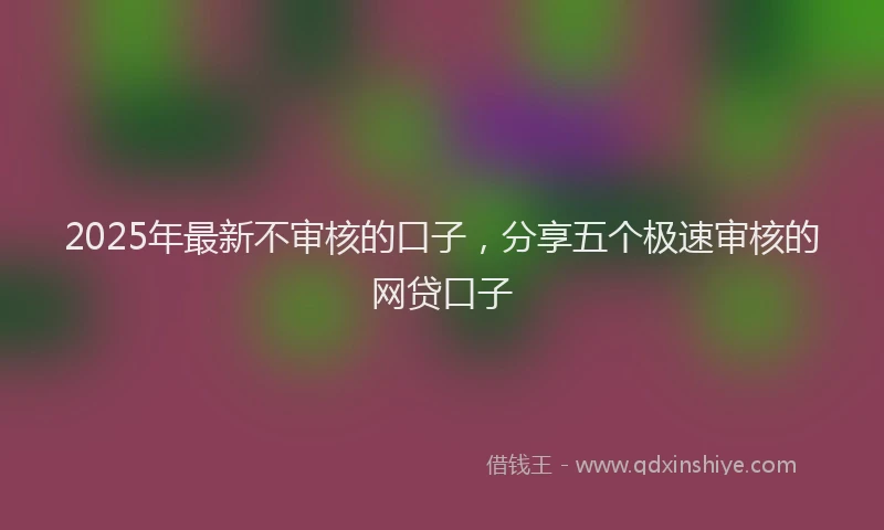 2025年最新不审核的口子，分享五个极速审核的网贷口子