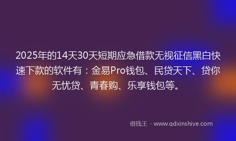 2025年的14天30天短期应急借款无视征信黑白快速下款的软件有：金易Pro钱包、民贷天下、贷你无忧贷、青春购、乐享钱包等。