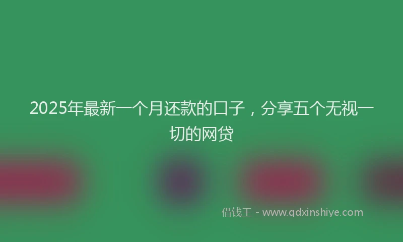 2025年最新一个月还款的口子，分享五个无视一切的网贷
