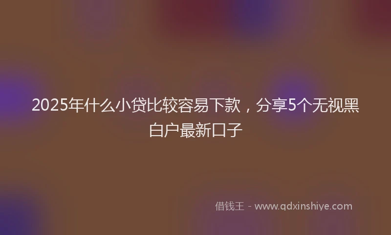 2025年什么小贷比较容易下款，分享5个无视黑白户最新口子