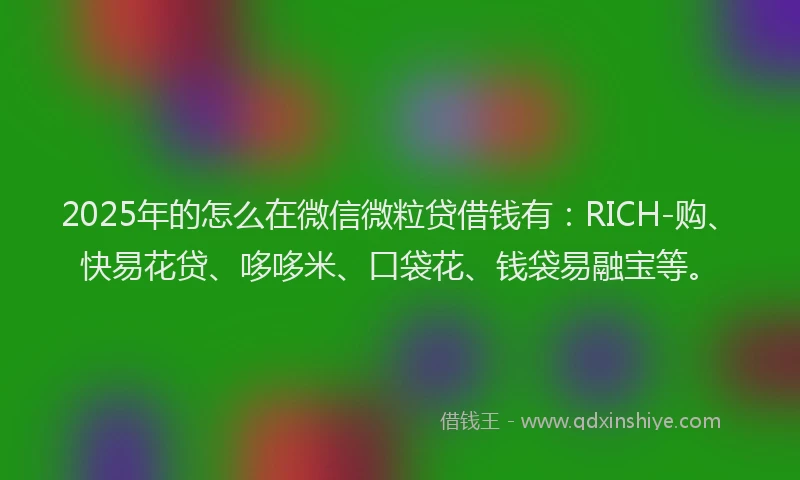 2025年的怎么在微信微粒贷借钱有：RICH-购、快易花贷、哆哆米、口袋花、钱袋易融宝等。