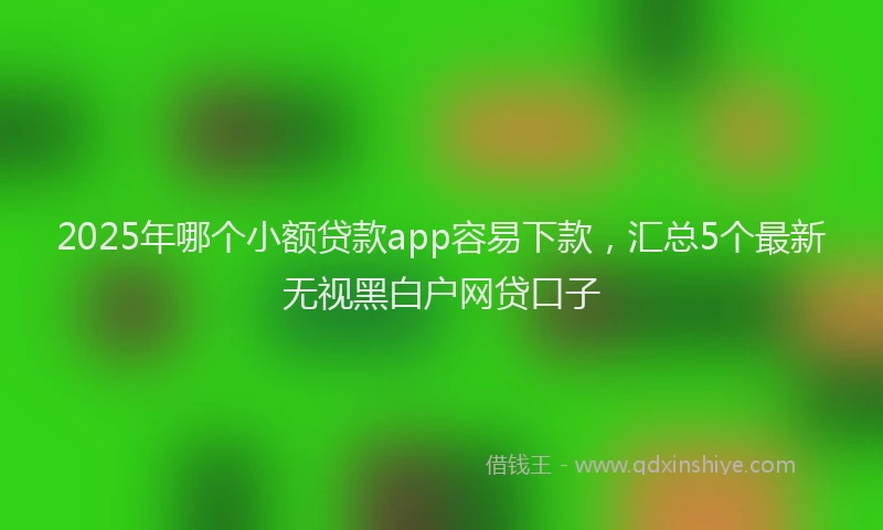 2025年哪个小额贷款app容易下款，汇总5个最新无视黑白户网贷口子