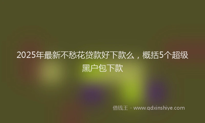 2025年最新不愁花贷款好下款么，概括5个超级黑户包下款