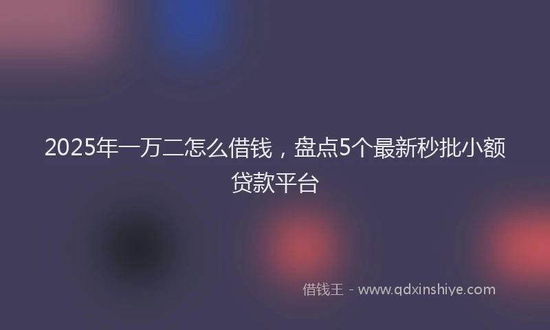 2025年一万二怎么借钱，盘点5个最新秒批小额贷款平台