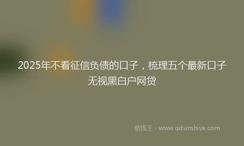 2025年不看征信负债的口子，梳理五个最新口子无视黑白户网贷
