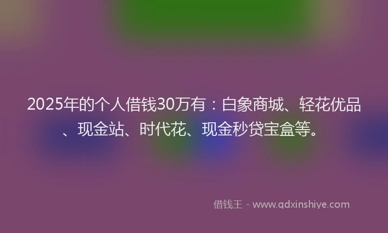 2025年的个人借钱30万有：白象商城、轻花优品、现金站、时代花、现金秒贷宝盒等。