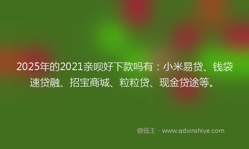2025年的2021亲呗好下款吗有：小米易贷、钱袋速贷融、招宝商城、粒粒贷、现金贷途等。