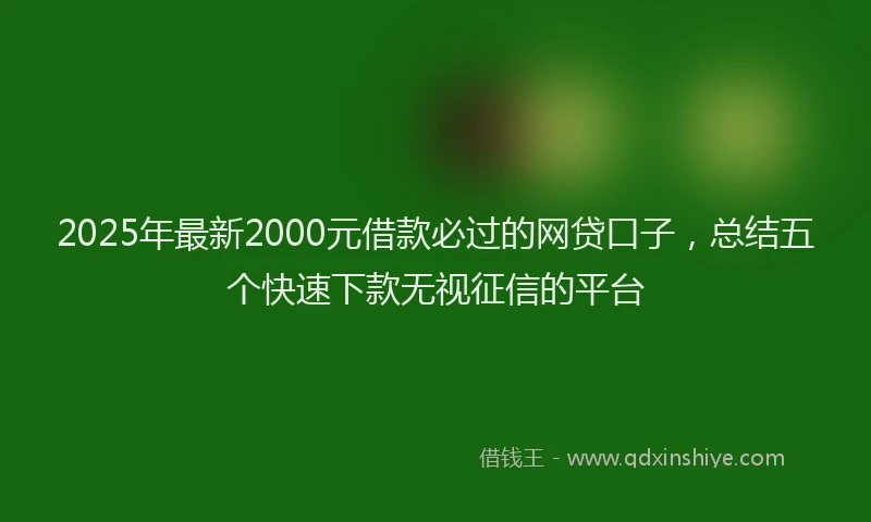 2025年最新2000元借款必过的网贷口子，总结五个快速下款无视征信的平台