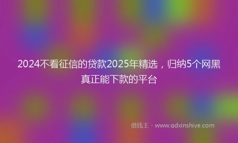 2024不看征信的贷款2025年精选，归纳5个网黑真正能下款的平台
