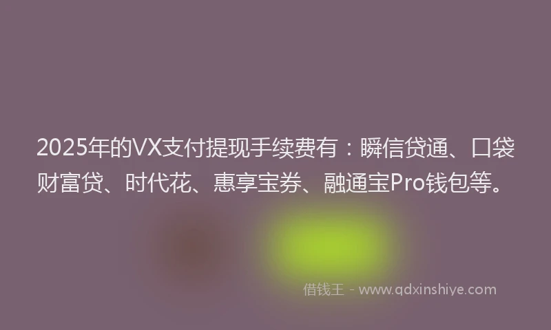 2025年的VX支付提现手续费有：瞬信贷通、口袋财富贷、时代花、惠享宝券、融通宝Pro钱包等。