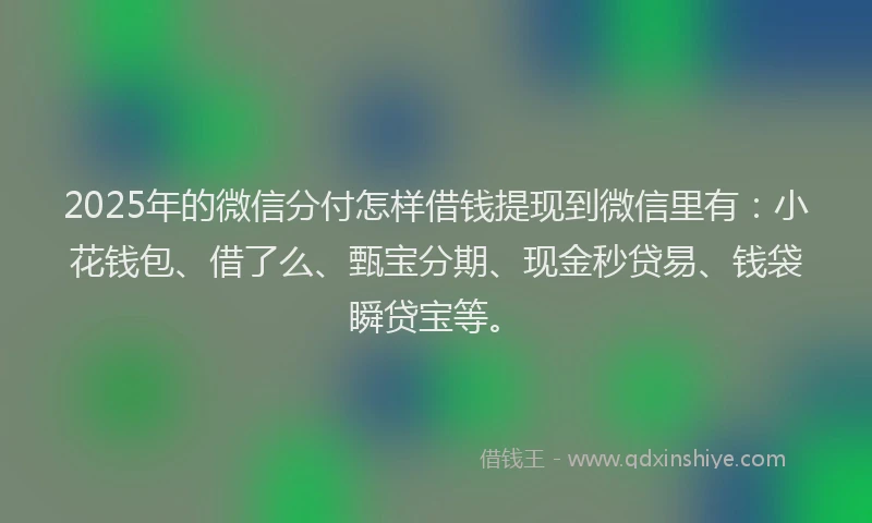 2025年的微信分付怎样借钱提现到微信里有：小花钱包、借了么、甄宝分期、现金秒贷易、钱袋瞬贷宝等。