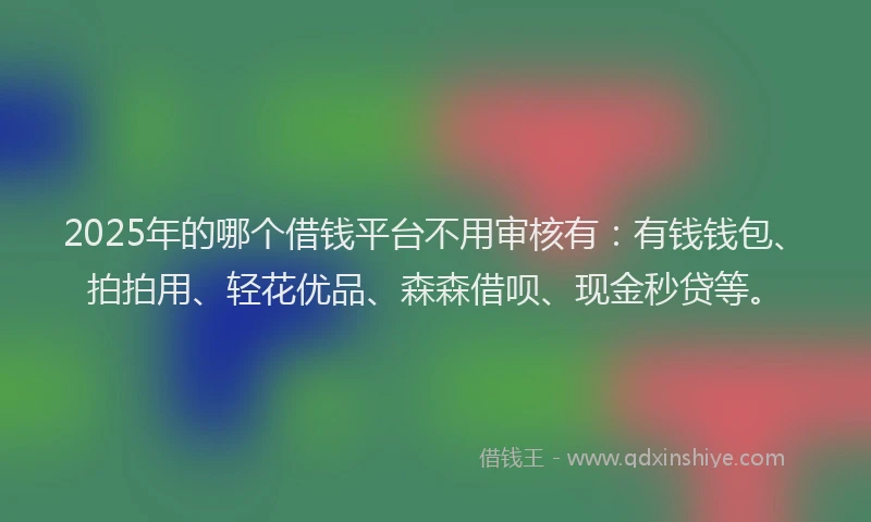 2025年的哪个借钱平台不用审核有：有钱钱包、拍拍用、轻花优品、森森借呗、现金秒贷等。