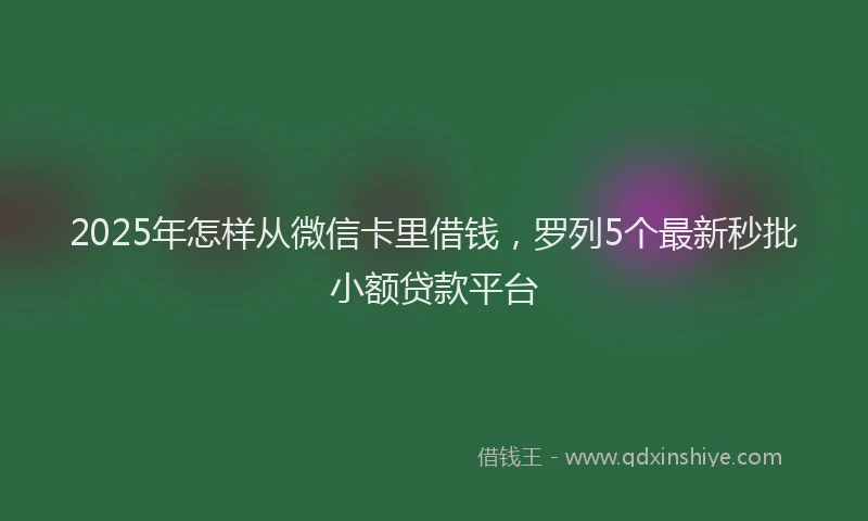 2025年怎样从微信卡里借钱，罗列5个最新秒批小额贷款平台