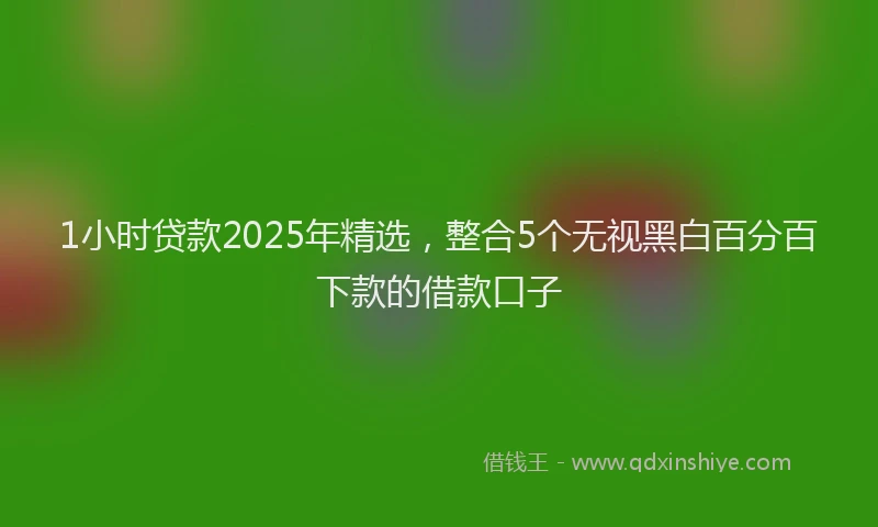 1小时贷款2025年精选，整合5个无视黑白百分百下款的借款口子