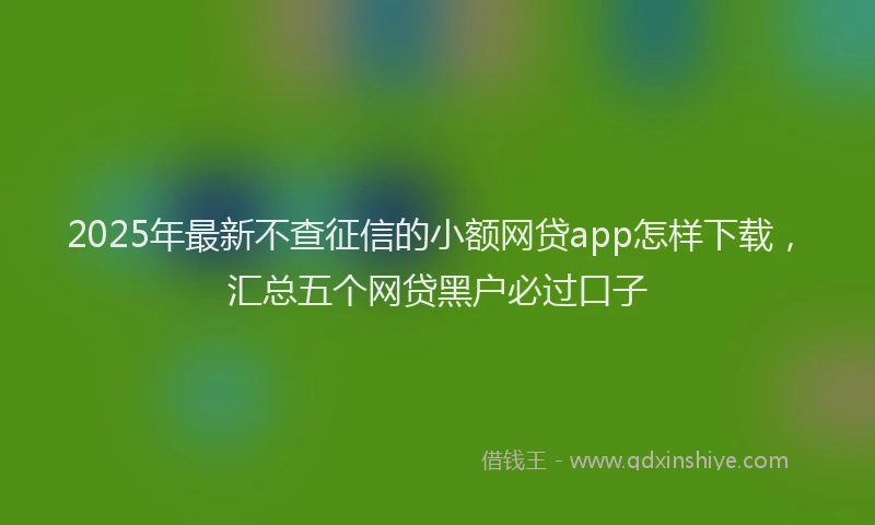 2025年最新不查征信的小额网贷app怎样下载，汇总五个网贷黑户必过口子