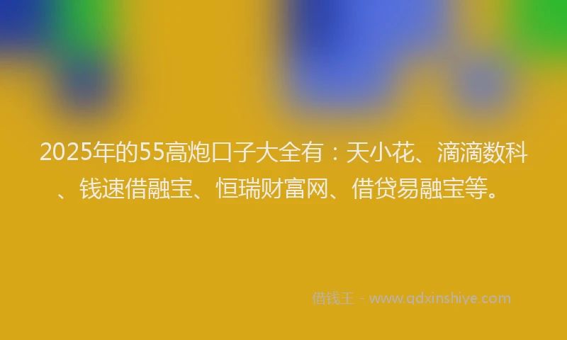 2025年的55高炮口子大全有：天小花、滴滴数科、钱速借融宝、恒瑞财富网、借贷易融宝等。