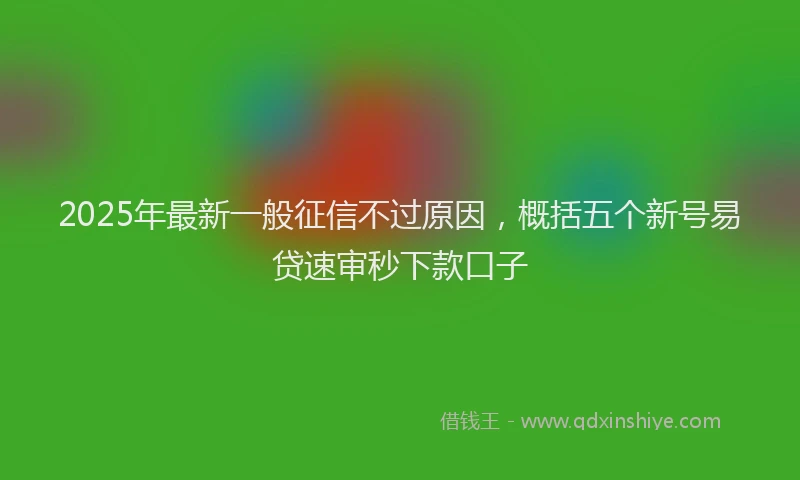 2025年最新一般征信不过原因，概括五个新号易贷速审秒下款口子
