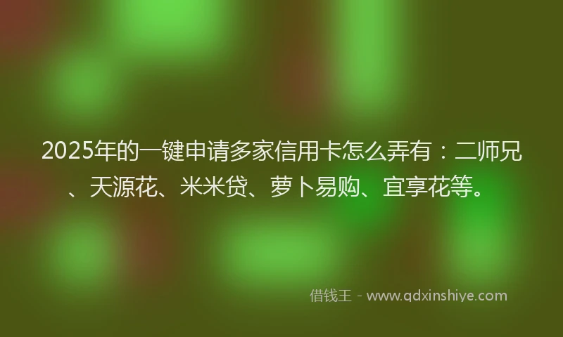 2025年的一键申请多家信用卡怎么弄有：二师兄、天源花、米米贷、萝卜易购、宜享花等。