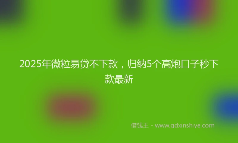2025年微粒易贷不下款，归纳5个高炮口子秒下款最新
