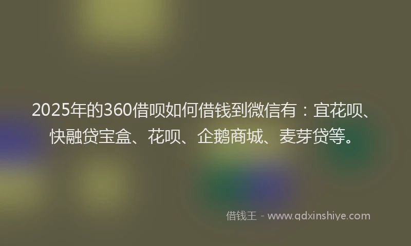 2025年的360借呗如何借钱到微信有：宜花呗、快融贷宝盒、花呗、企鹅商城、麦芽贷等。