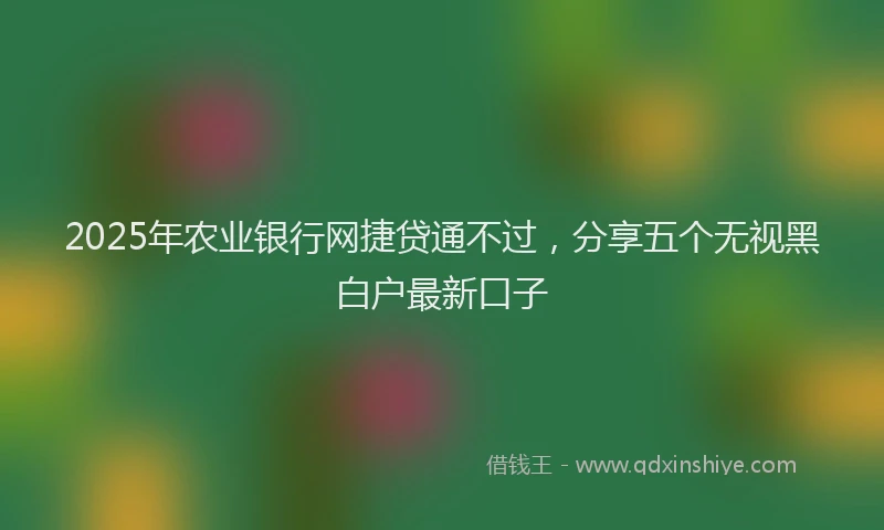 2025年农业银行网捷贷通不过，分享五个无视黑白户最新口子