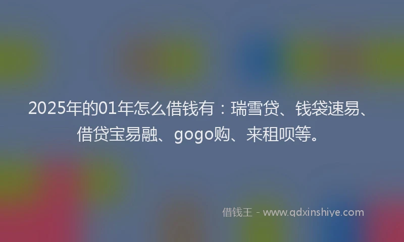 2025年的01年怎么借钱有：瑞雪贷、钱袋速易、借贷宝易融、gogo购、来租呗等。