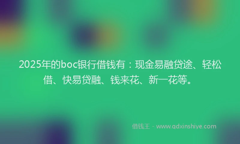 2025年的boc银行借钱有：现金易融贷途、轻松借、快易贷融、钱来花、新一花等。