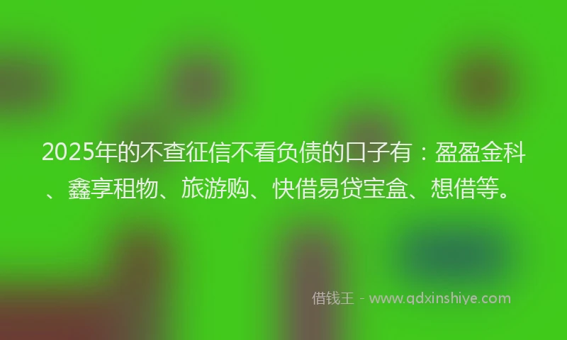 2025年的不查征信不看负债的口子有：盈盈金科、鑫享租物、旅游购、快借易贷宝盒、想借等。