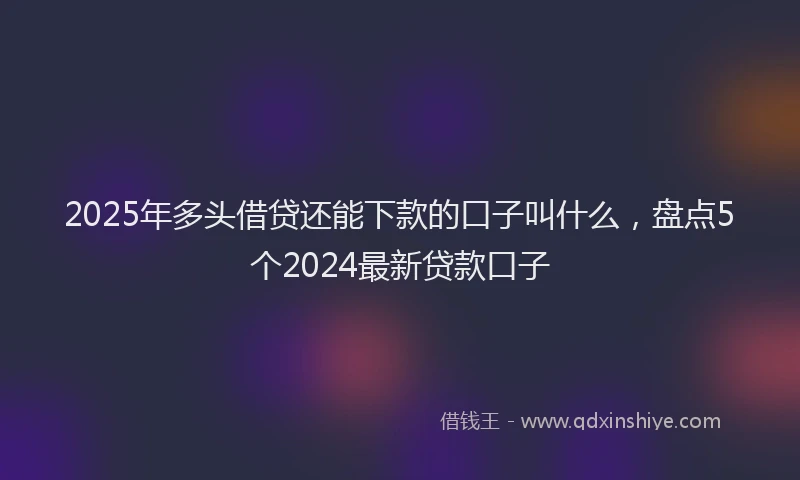 2025年多头借贷还能下款的口子叫什么，盘点5个2024最新贷款口子