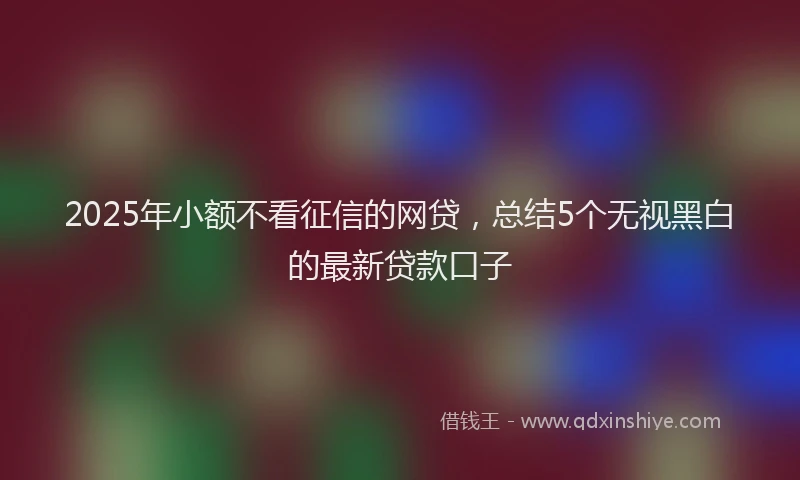 2025年小额不看征信的网贷，总结5个无视黑白的最新贷款口子