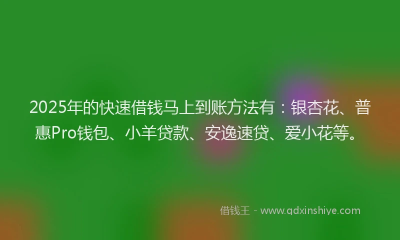 2025年的快速借钱马上到账方法有：银杏花、普惠Pro钱包、小羊贷款、安逸速贷、爱小花等。