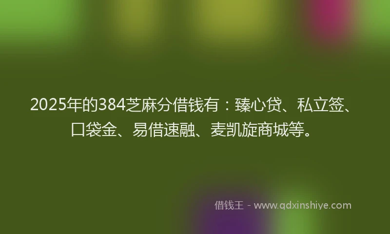 2025年的384芝麻分借钱有：臻心贷、私立签、口袋金、易借速融、麦凯旋商城等。