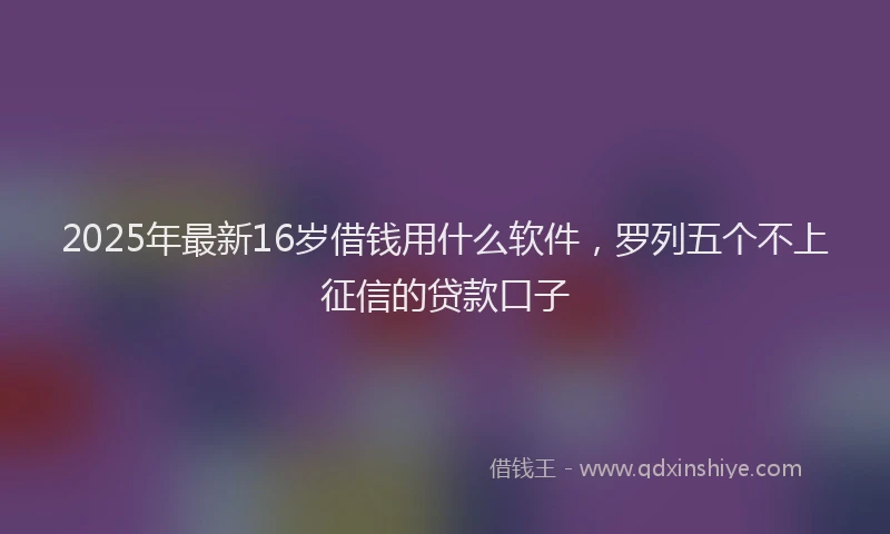 2025年最新16岁借钱用什么软件，罗列五个不上征信的贷款口子