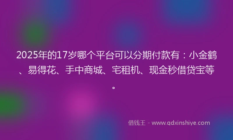 2025年的17岁哪个平台可以分期付款有：小金鹤、易得花、手中商城、宅租机、现金秒借贷宝等。