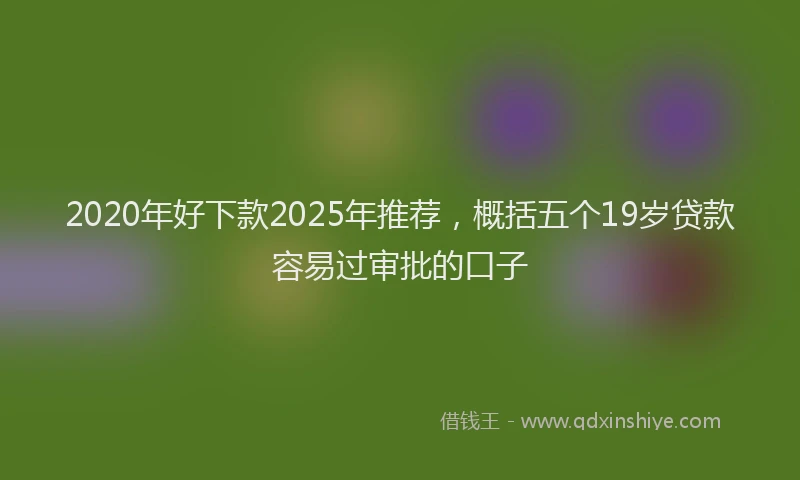 2020年好下款2025年推荐，概括五个19岁贷款容易过审批的口子