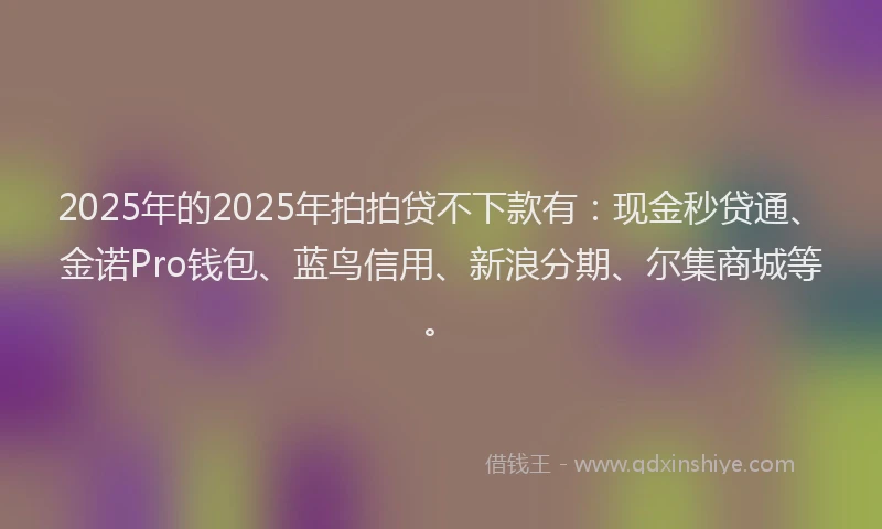 2025年的2025年拍拍贷不下款有：现金秒贷通、金诺Pro钱包、蓝鸟信用、新浪分期、尔集商城等。