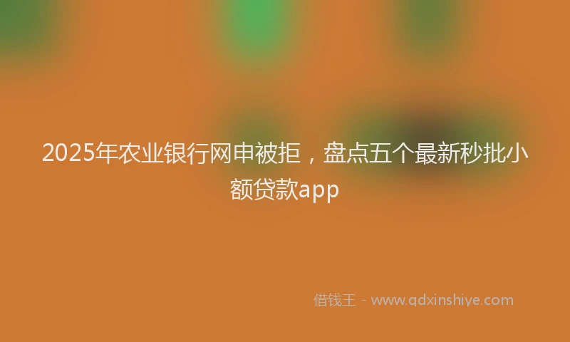 2025年农业银行网申被拒，盘点五个最新秒批小额贷款app
