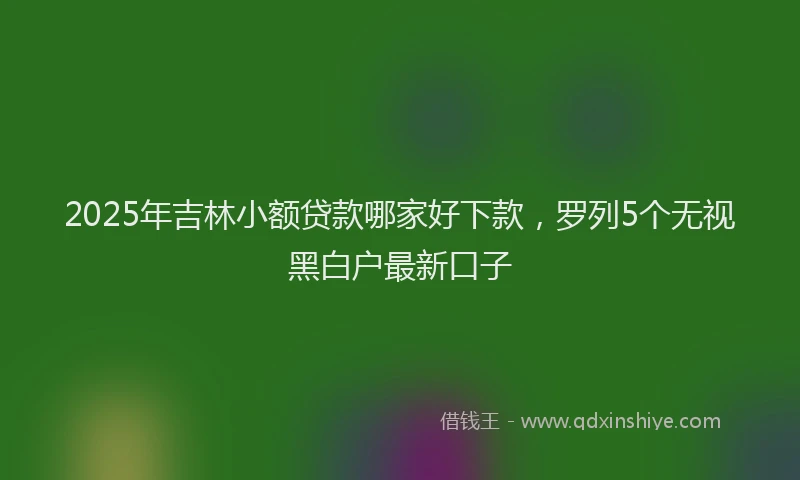 2025年吉林小额贷款哪家好下款，罗列5个无视黑白户最新口子