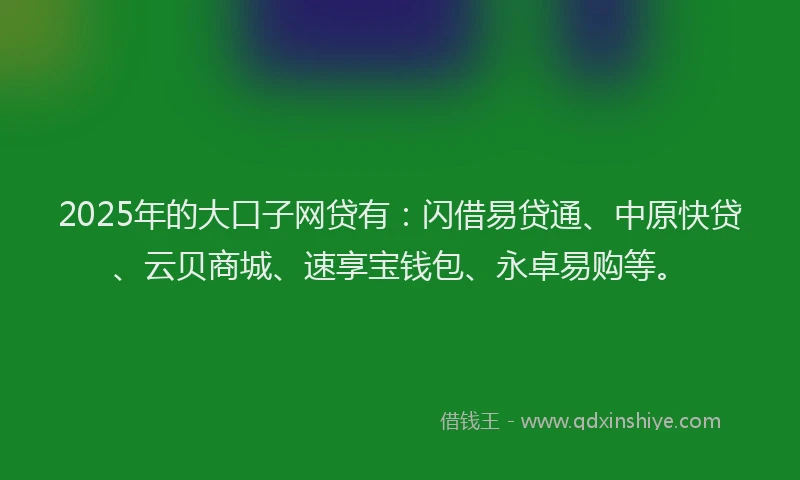2025年的大口子网贷有：闪借易贷通、中原快贷、云贝商城、速享宝钱包、永卓易购等。