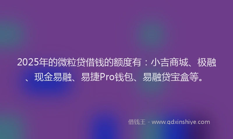 2025年的微粒贷借钱的额度有：小吉商城、极融、现金易融、易捷Pro钱包、易融贷宝盒等。