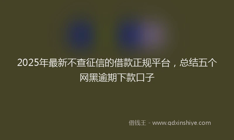 2025年最新不查征信的借款正规平台，总结五个网黑逾期下款口子
